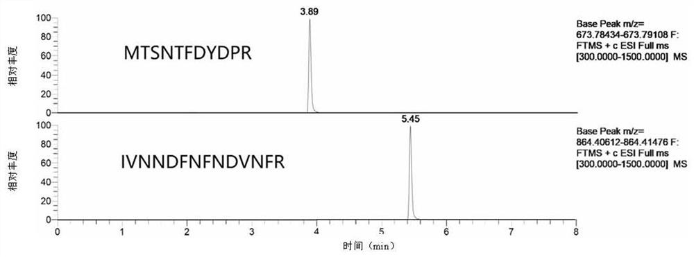 A method for quantification of mrjp2 in honey by liquid chromatography-tandem mass spectrometry
