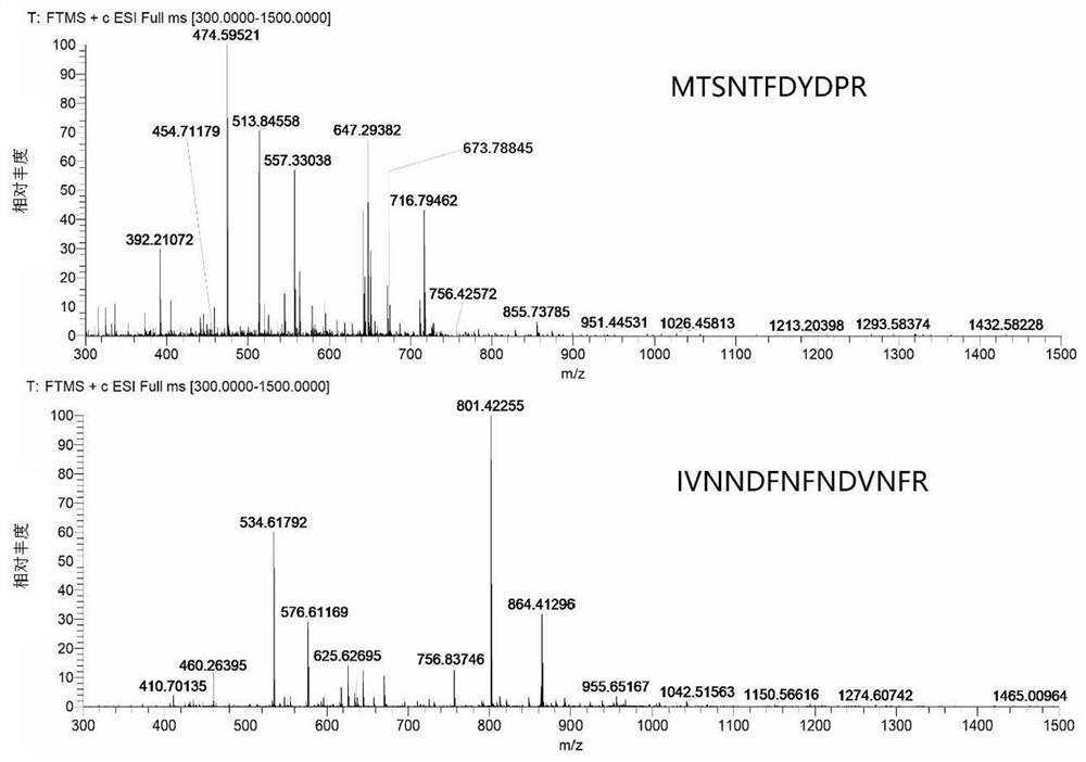 A method for quantification of mrjp2 in honey by liquid chromatography-tandem mass spectrometry