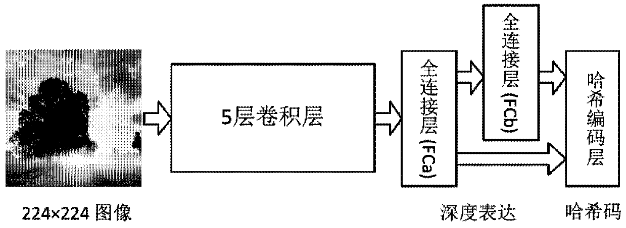 An image retrieval method based on deep semantic sorting hash encoding