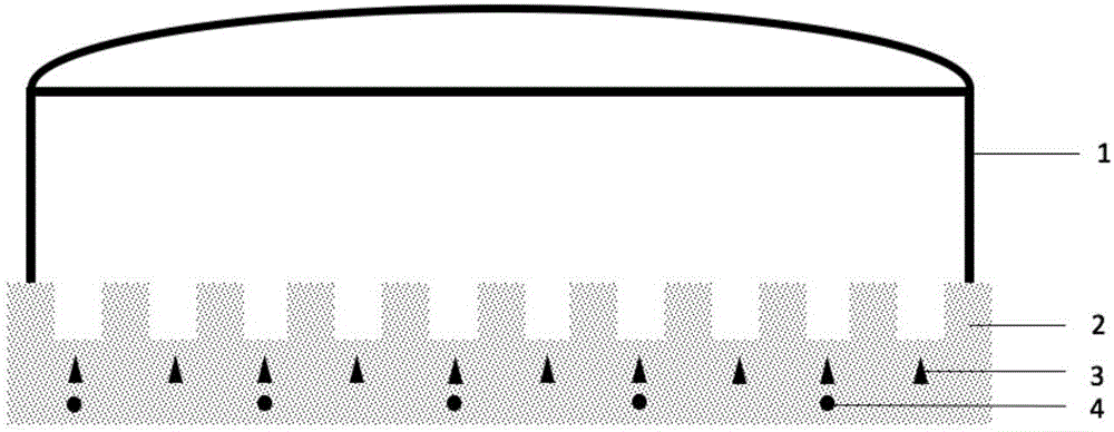 Plantation method for saline-alkali land greenhouse in river bend