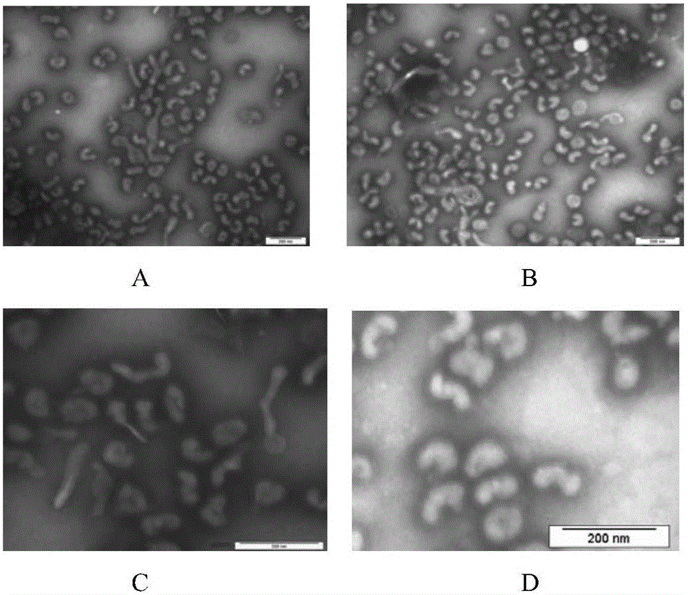 Preparation method and application of recombinant cold-adaptation attenuated influenza vaccine strain