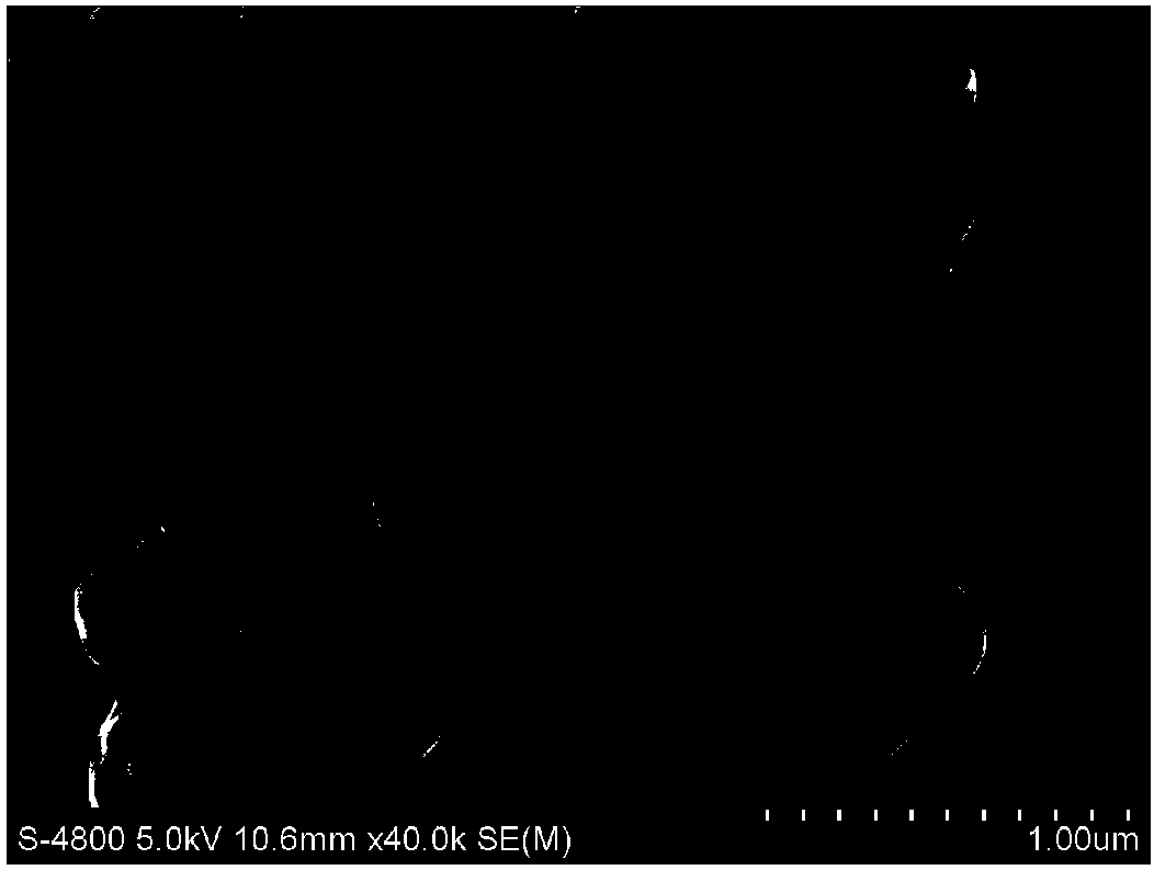 Method for degrading oil and phenanthrene through bacterial strain P51