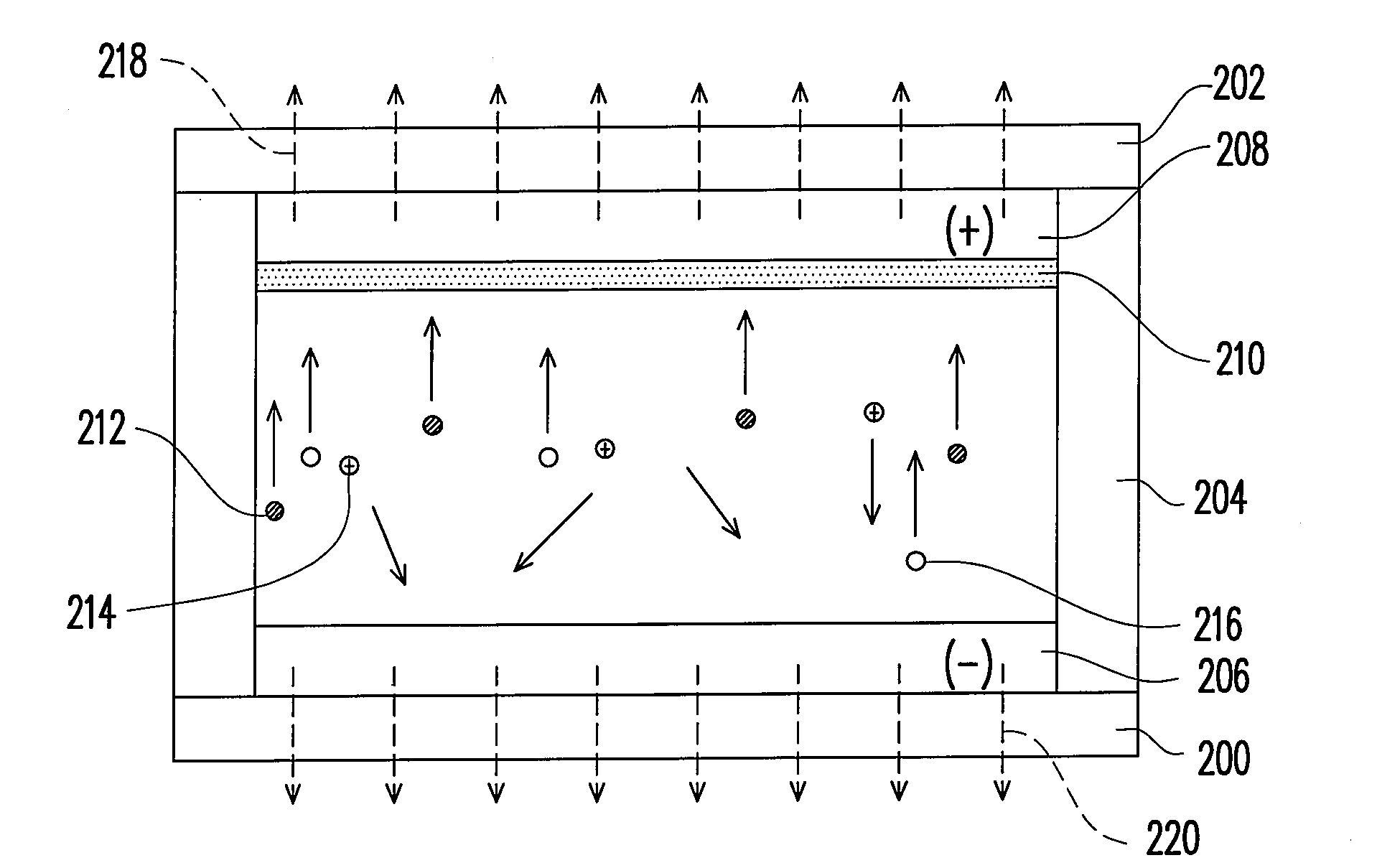 Surface light source apparatus with dual-side emitting light