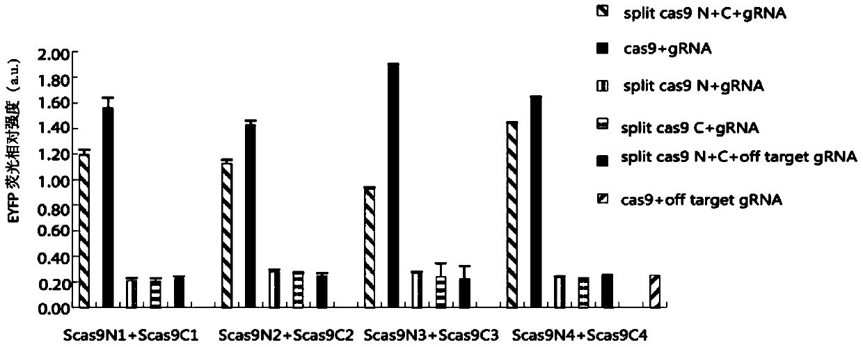 Method for gene editing and expression regulation using split cas system