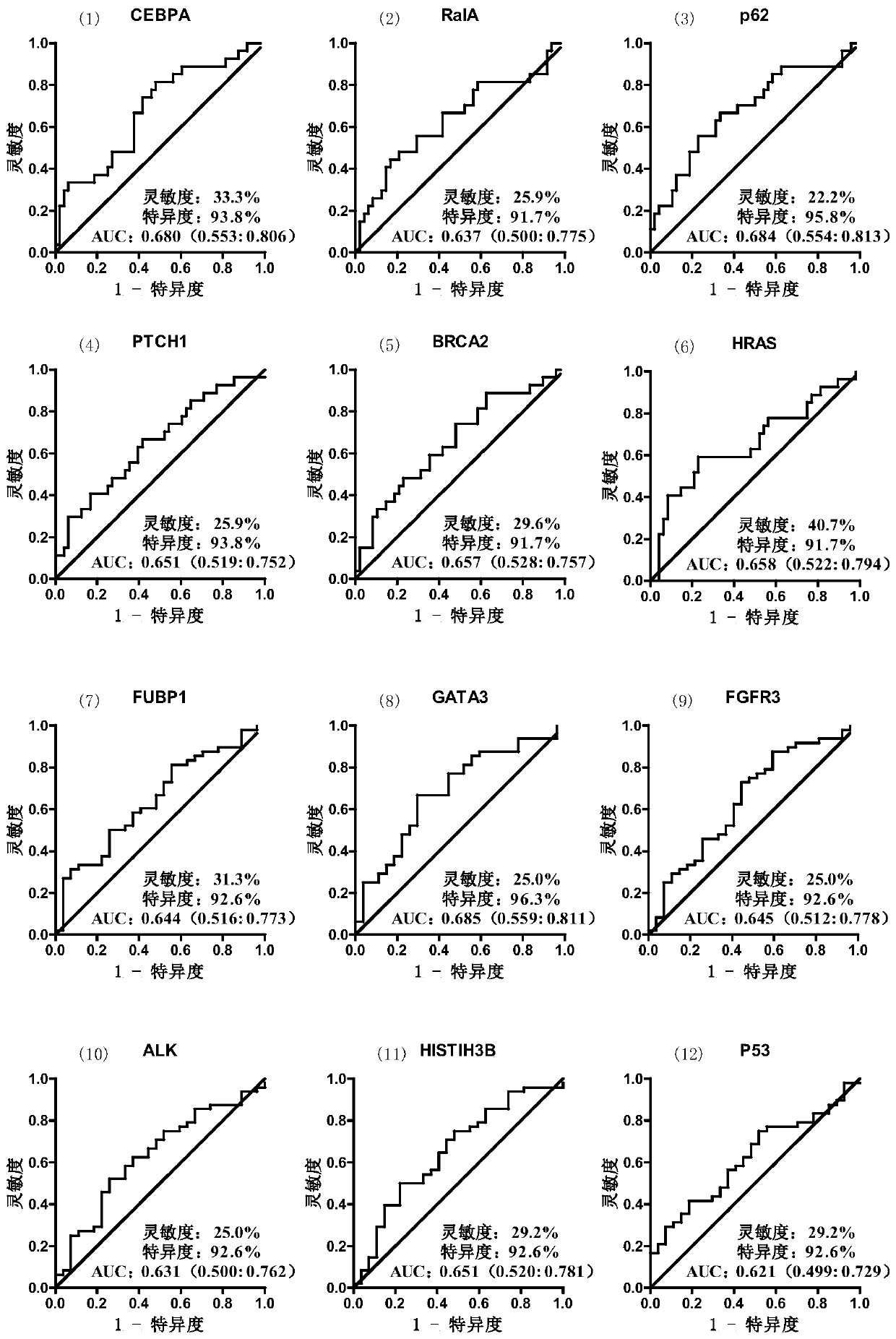 Serum protein marker for early screening and diagnosis of breast cancer, kit and detection method