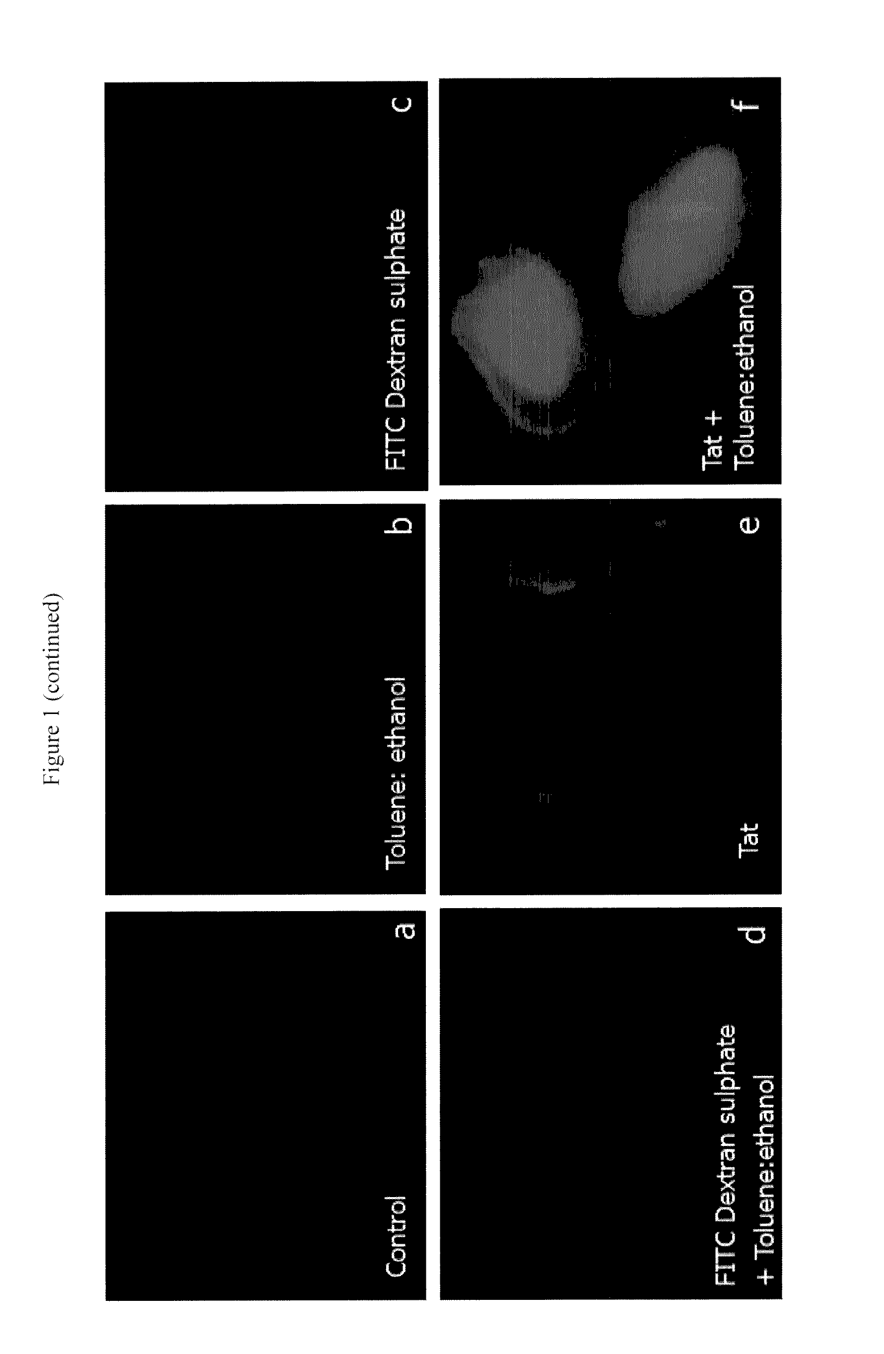 Nanocarrier based plant transfection and transduction