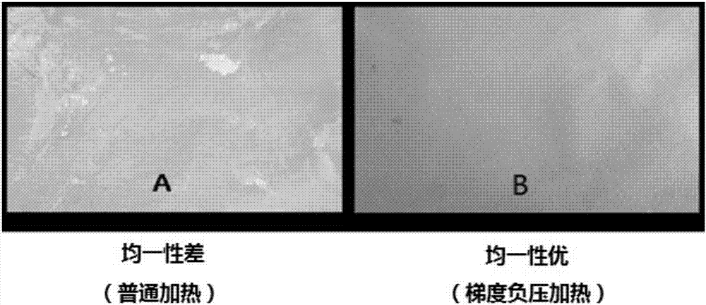 A kind of bacterial cellulose dry film and its preparation method and application