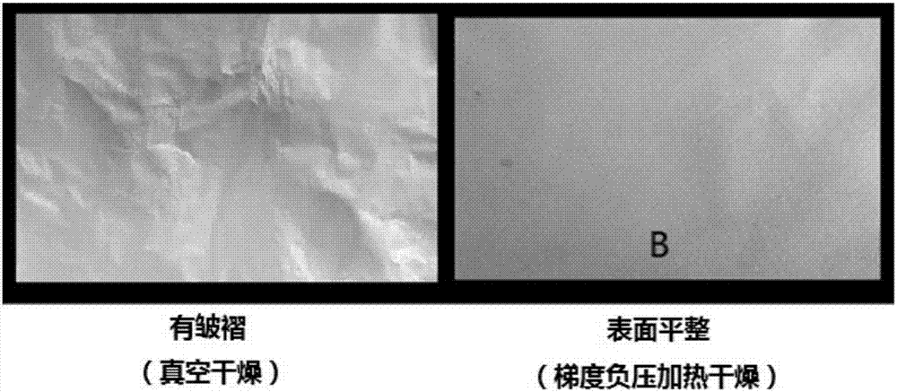 A kind of bacterial cellulose dry film and its preparation method and application