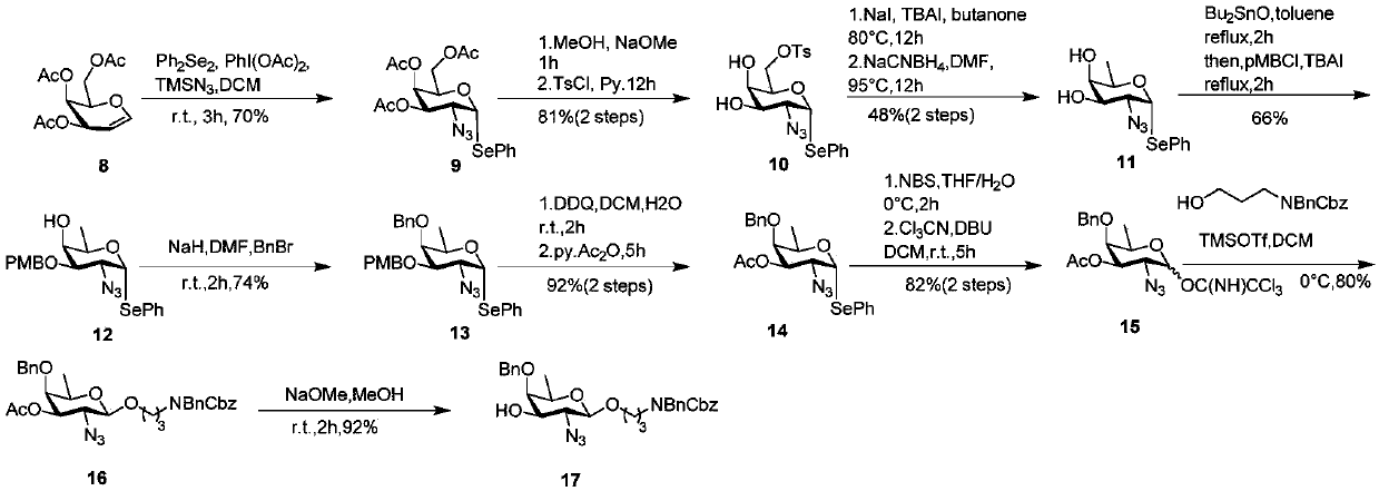 Chemical synthesis method of Bacillus pyocyaneus 011 serotype O antigen oligosaccharide