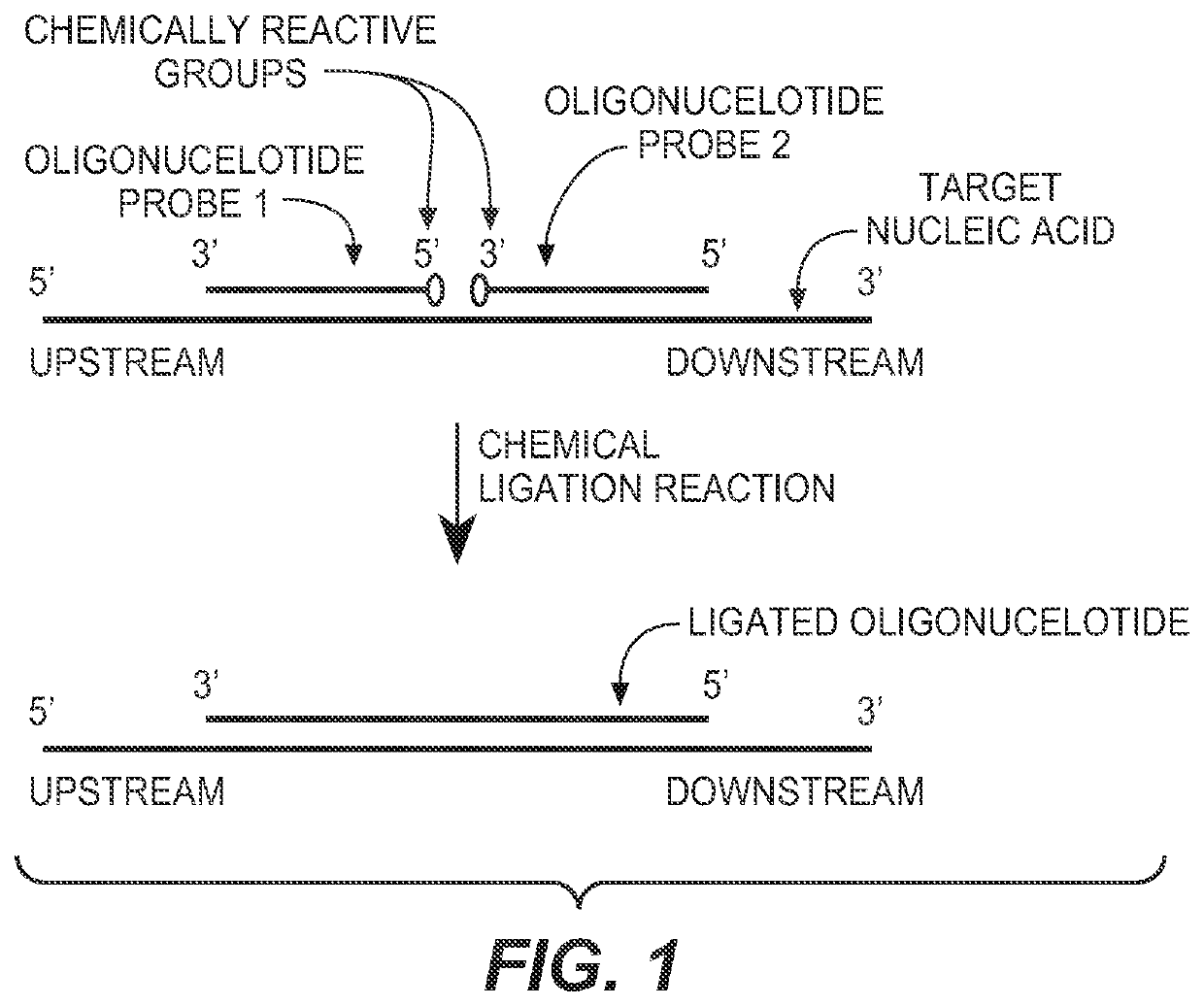 Detection of nucleic acid targets using chemically reactive oligonucleotide probes