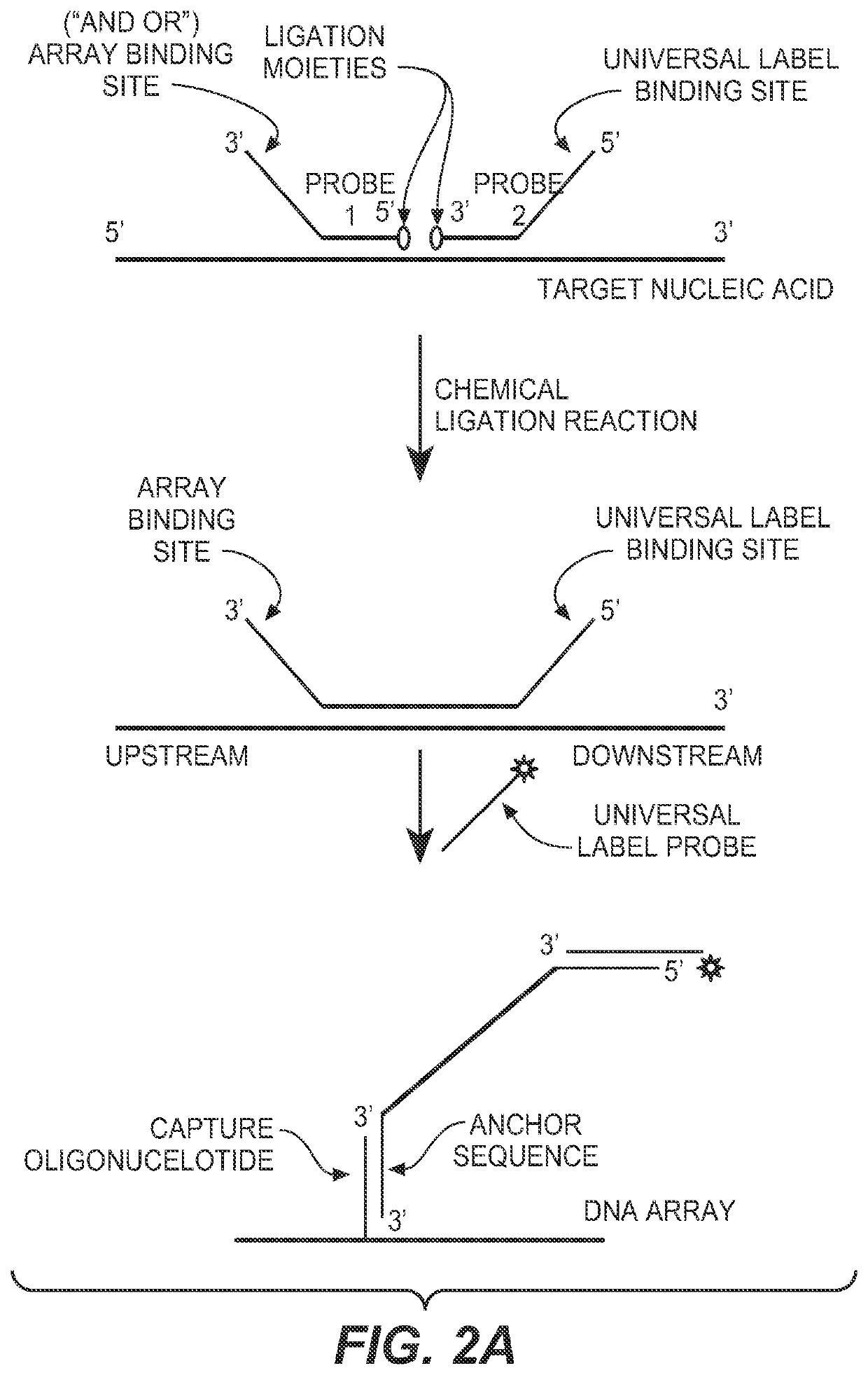 Detection of nucleic acid targets using chemically reactive oligonucleotide probes