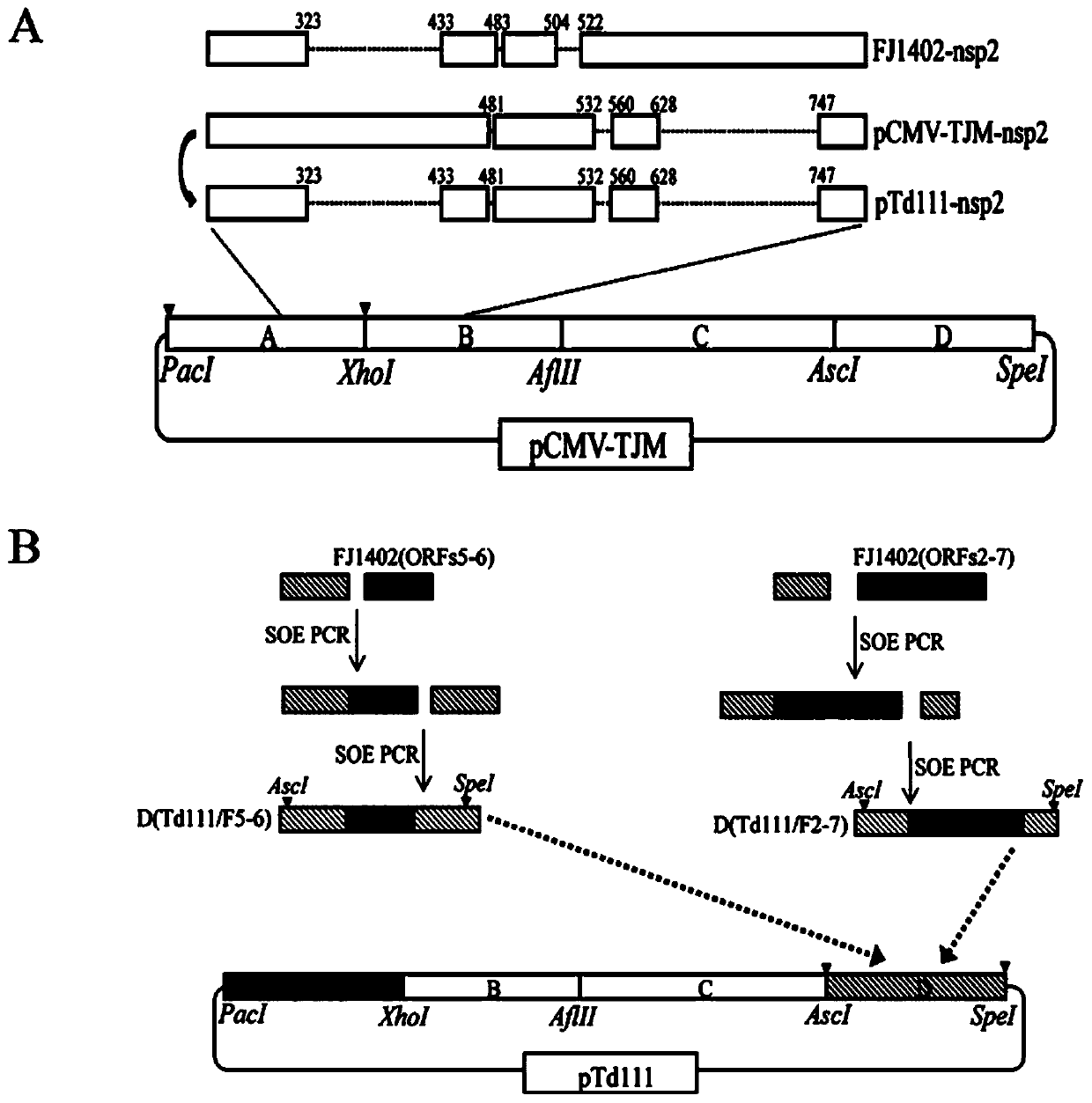Chimeric strain of porcine reproductive and respiratory syndrome virus and application thereof