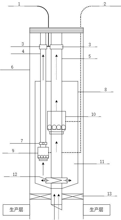 Novel gas-liquid separate production pipe column for underground drainage gas production of sulfur-containing gas well