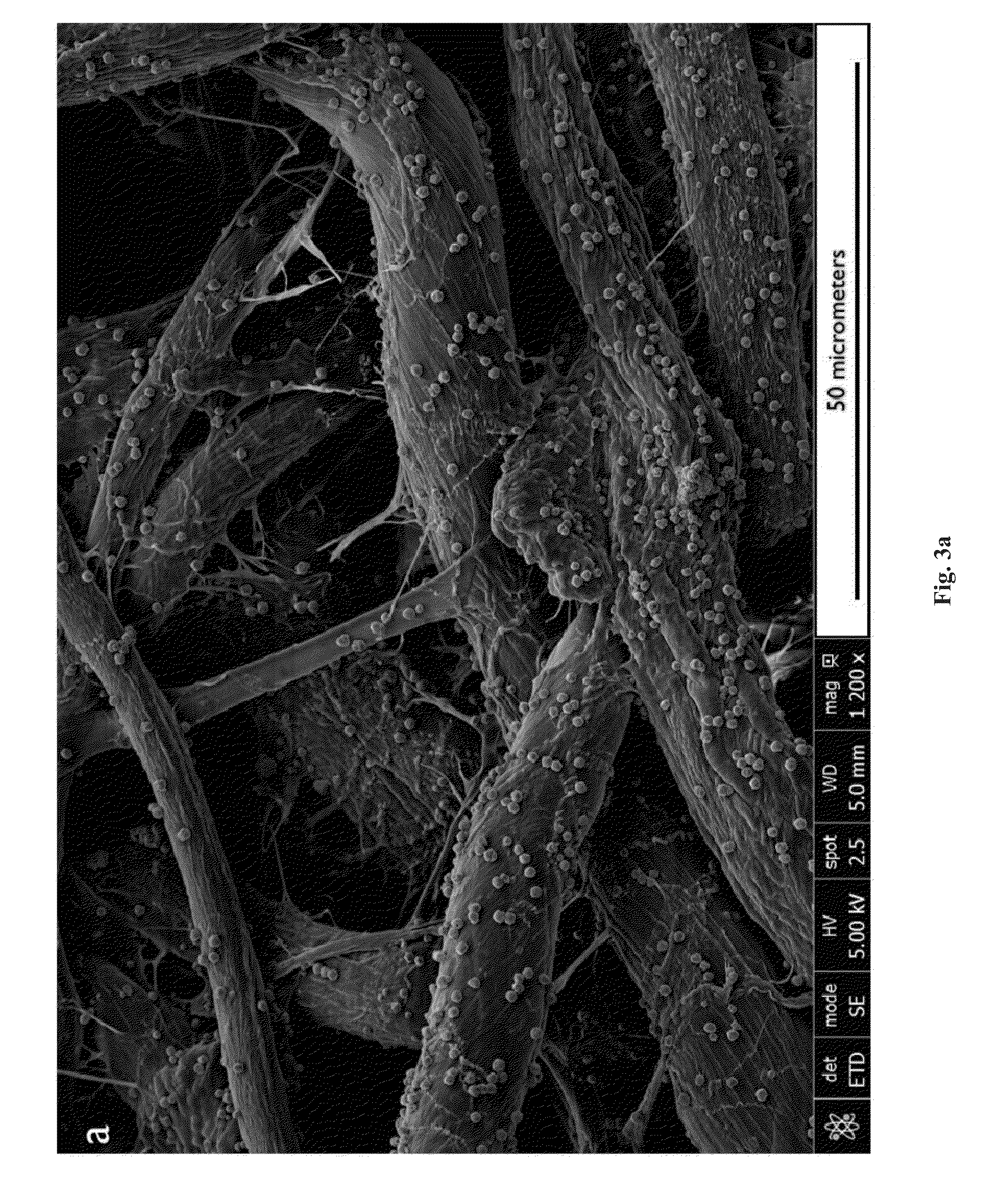 Compositions and methods for preparing copper-containing paper and uses thereof