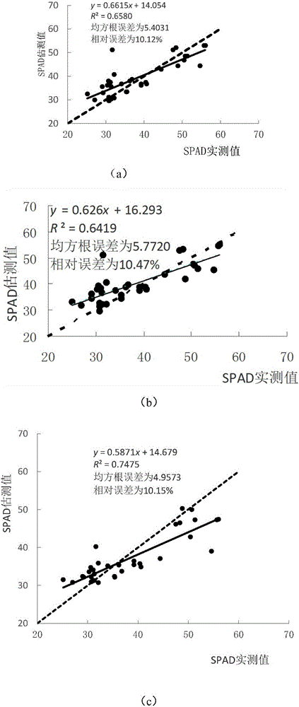 Hyperspectral inversion method for content of chlorophyll in apple leaves based on SVR (support vector regression) algorithm