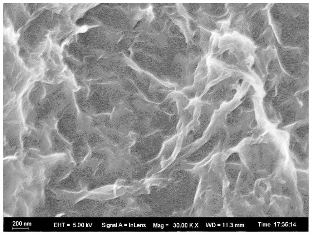 Preparation method of oriented graphene composite macroscopic body