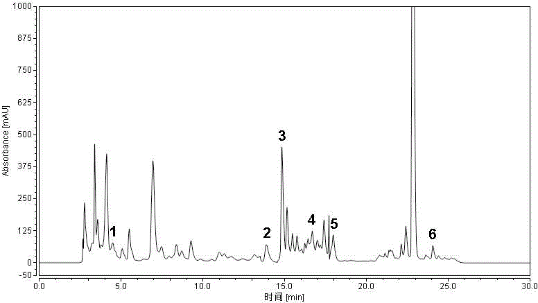 Method for simultaneously detecting content of multiple phenolic acids in Noni juice by HPLC (high performance liquid chromatography) wavelength switching technology