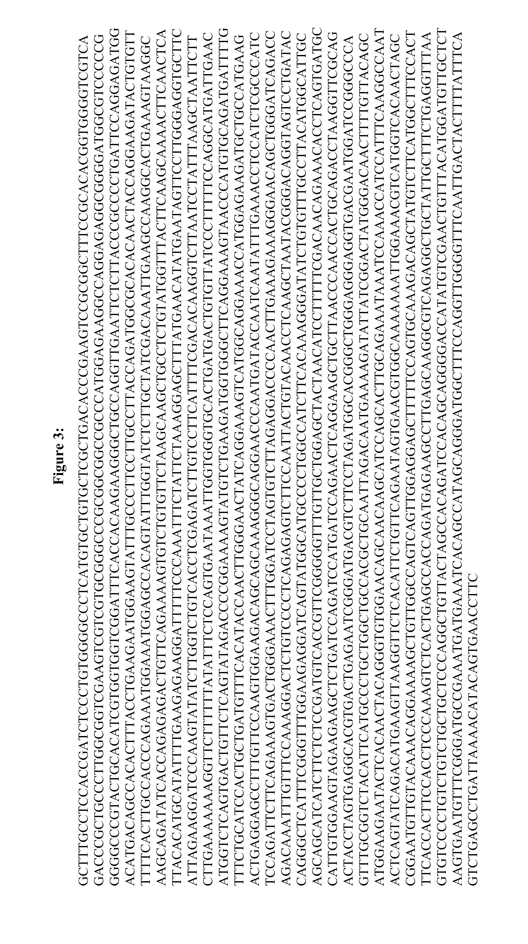 Methods for the diagnosis and treatment of cancer based on AVL9