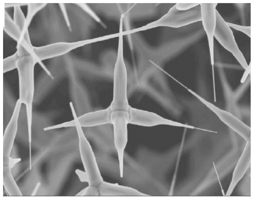 Antistatic thermal control coating composition and its preparation method and application