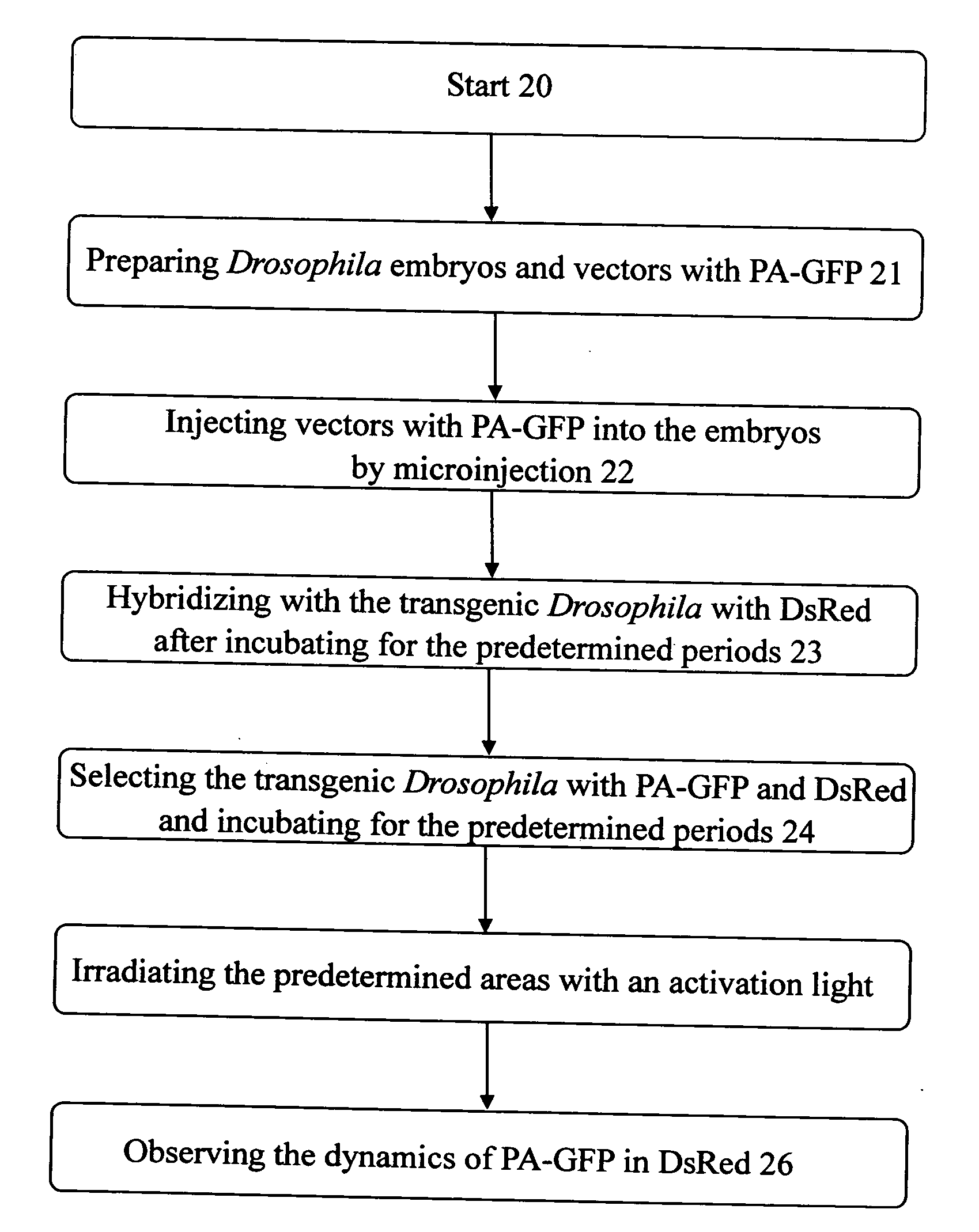 Method for labeling specific cells within living cells or tissues