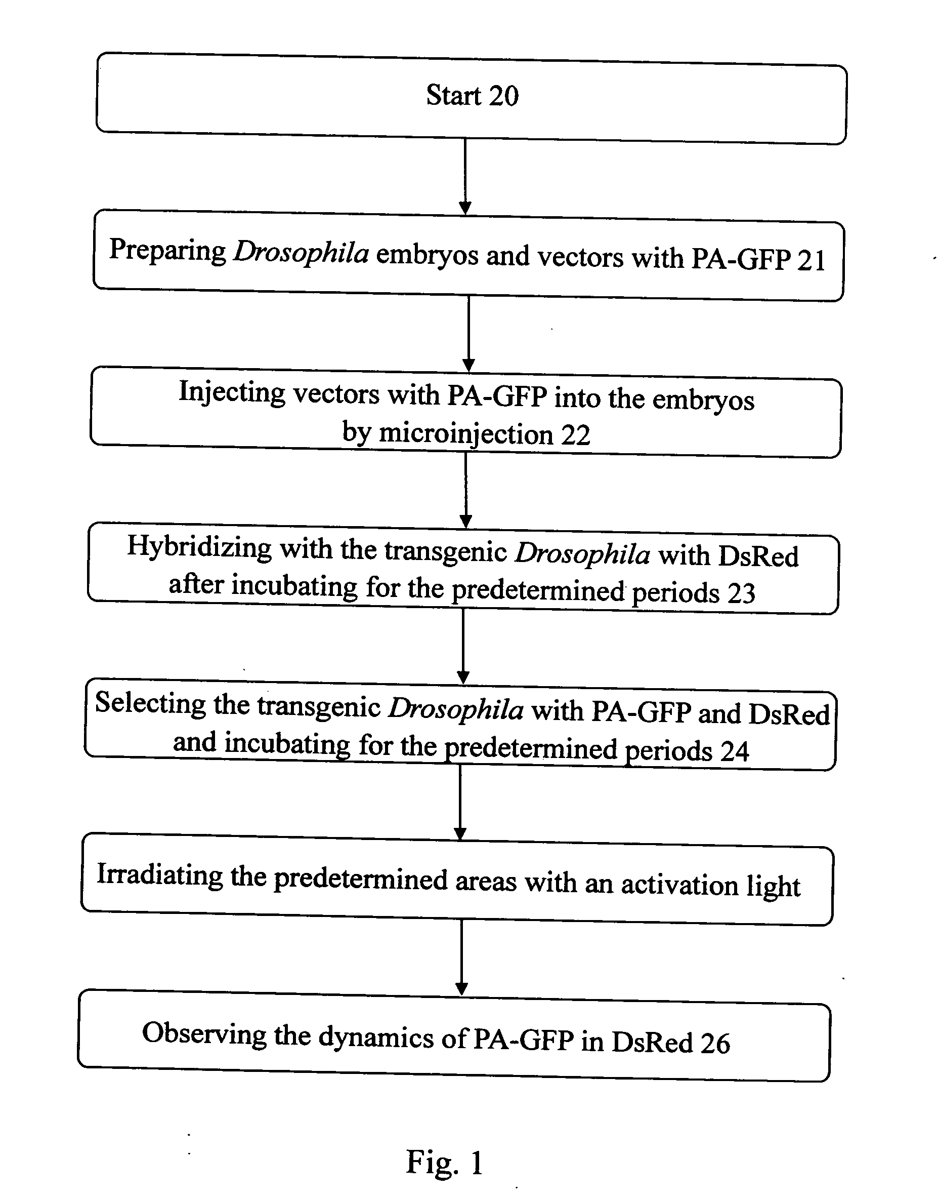 Method for labeling specific cells within living cells or tissues