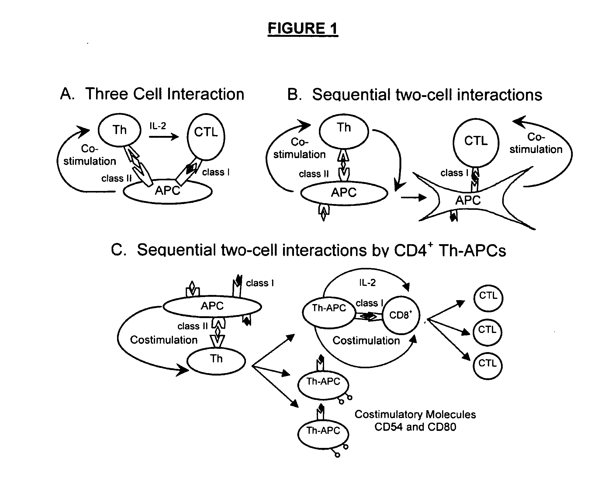 Materials and method of modulating the immune response