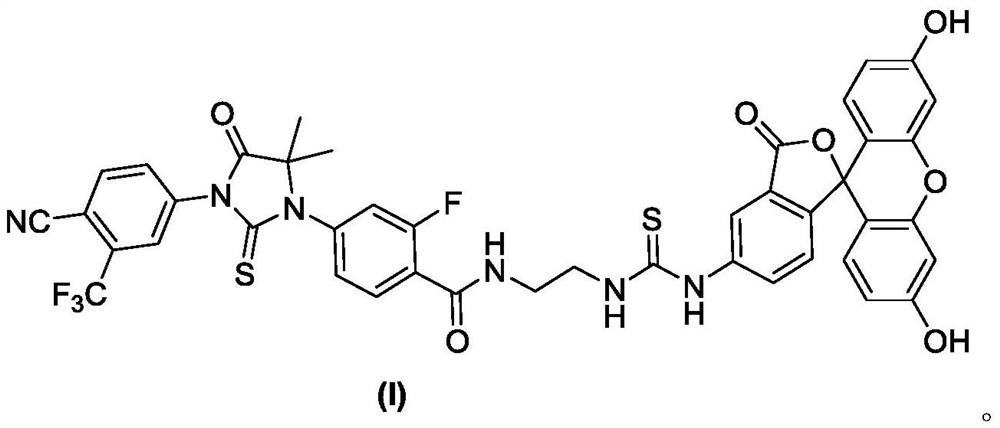 Androgen receptor micromolecular fluorescent probe as well as preparation method and application thereof