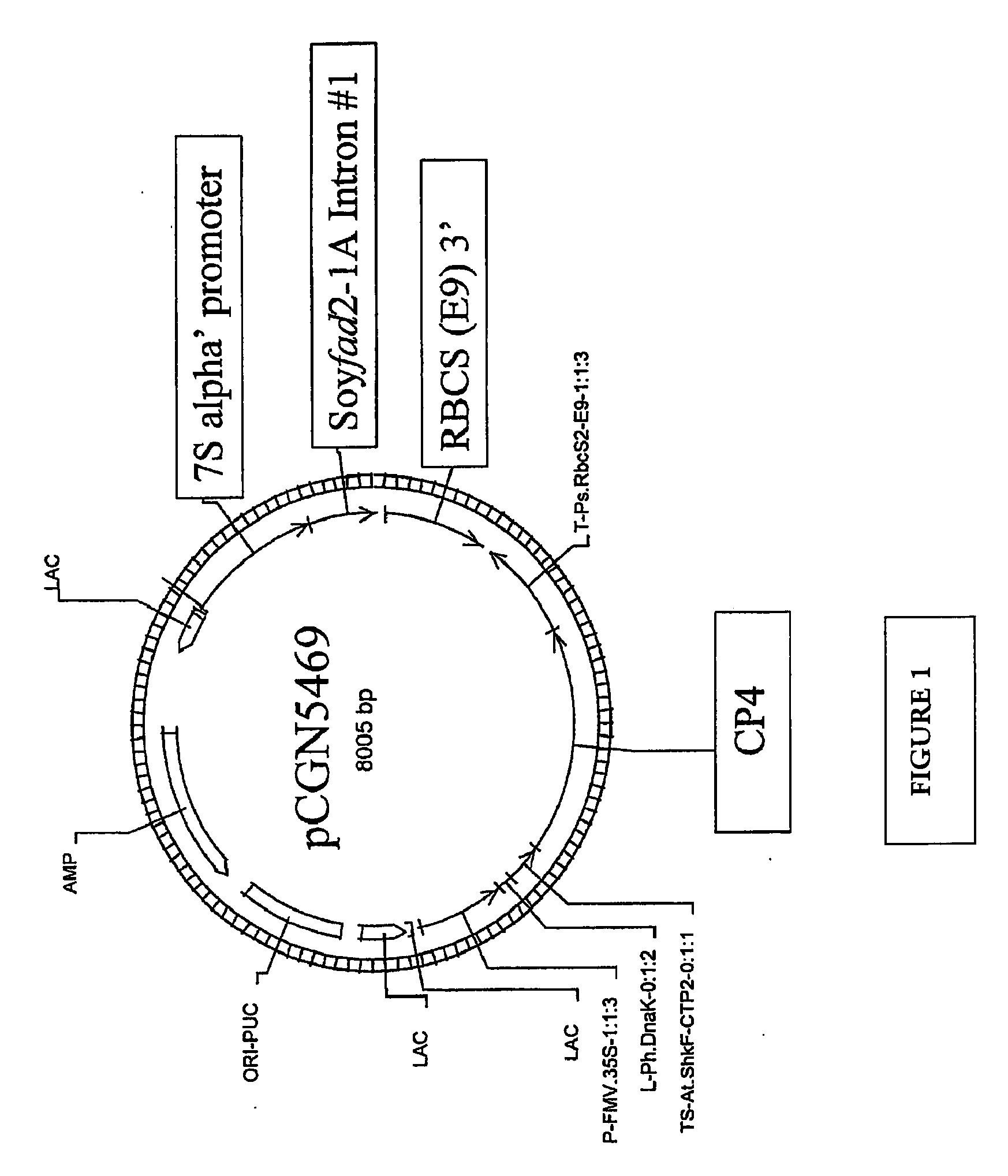 Soybean Seed And Oil Compositions And Methods of Making Same