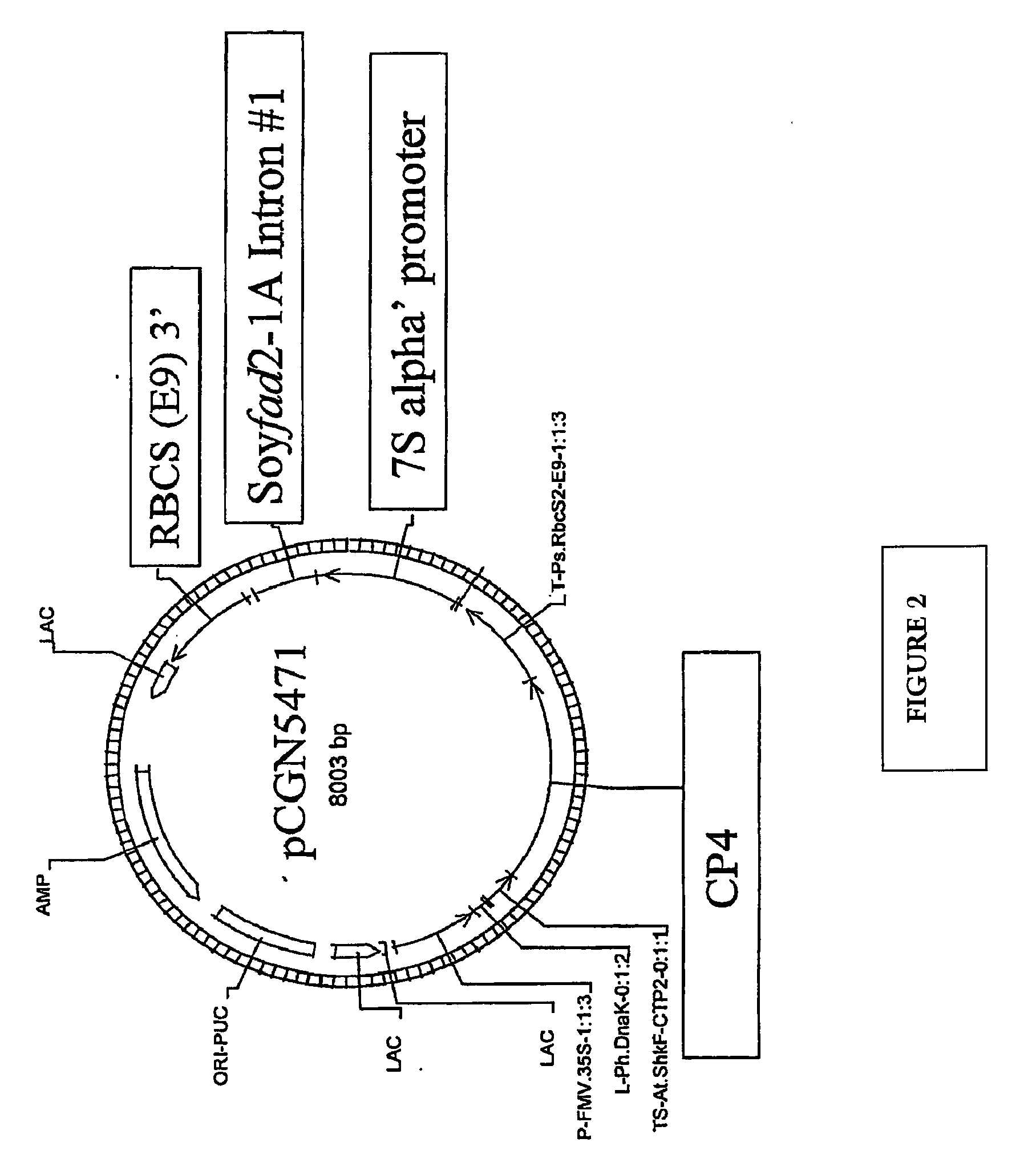 Soybean Seed And Oil Compositions And Methods of Making Same