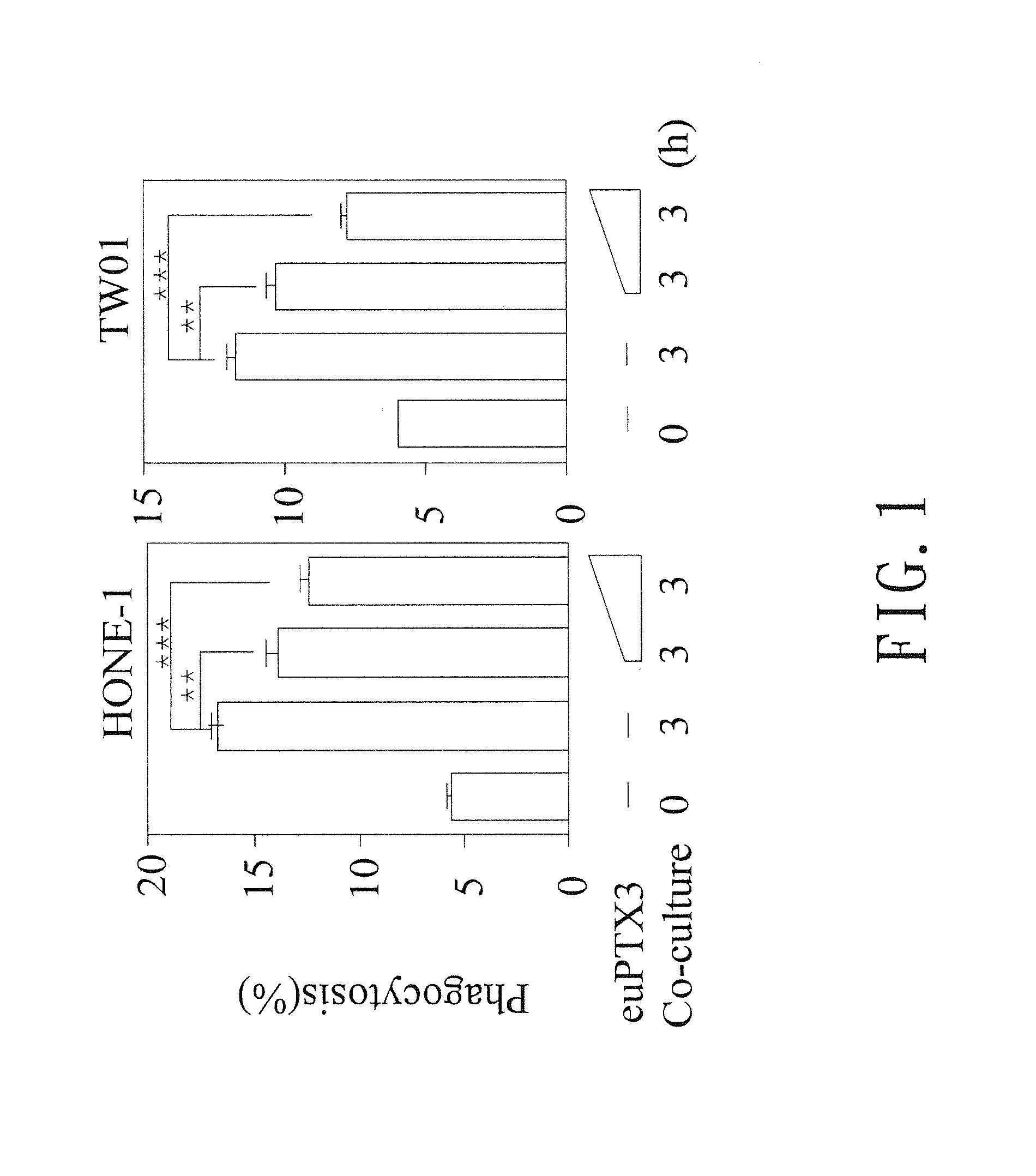 METHOD FOR INHIBITING euPTX3 TO TREAT NASOPHARYNGEAL CARCINOMA BY AMINO ACID SEQUENCE