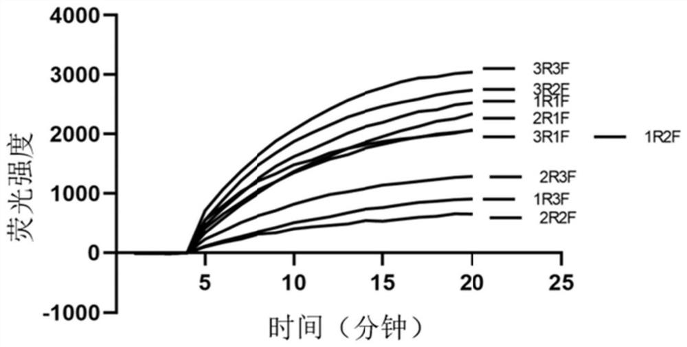 RT-RPA primer, probe, kit and detection method for detecting type II grass carp reovirus (GCRV)