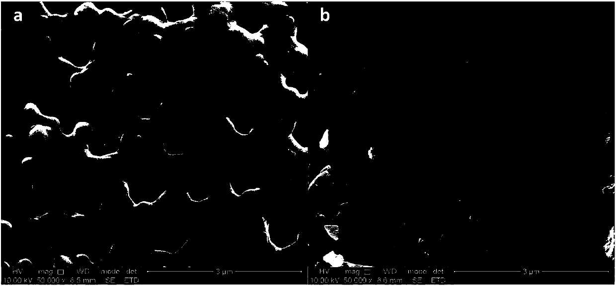 Environmental cleaning material with anti-microbial and photo-catalysis functions and preparation method thereof