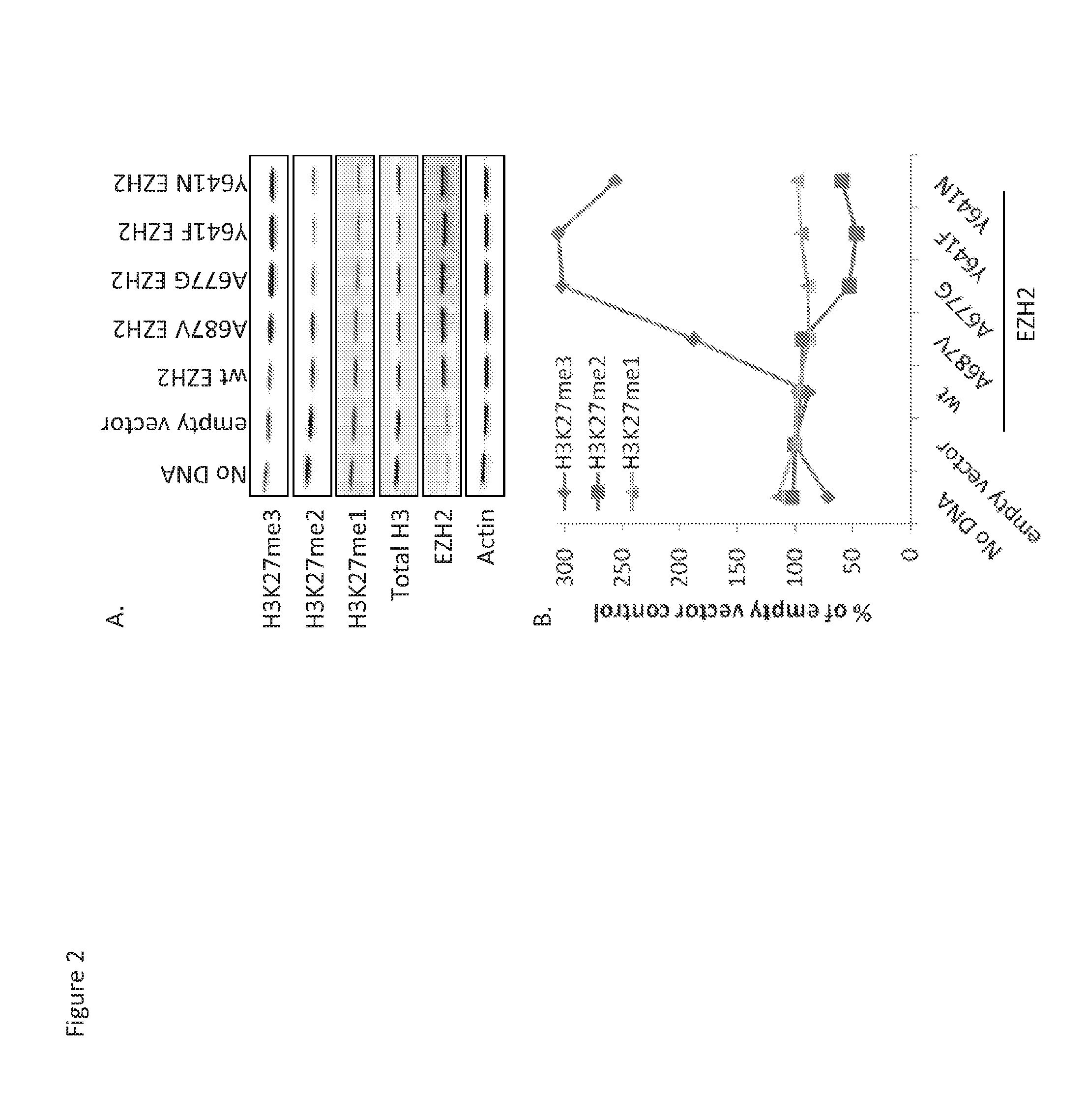 Methods of treating cancer patients responding to ezh2 inhibitor gsk126