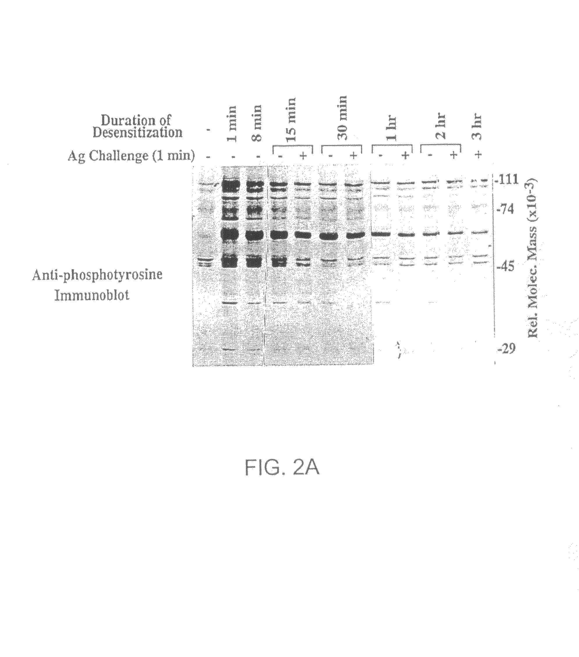 Product and method for treatment of conditions associated with receptor-desensitization