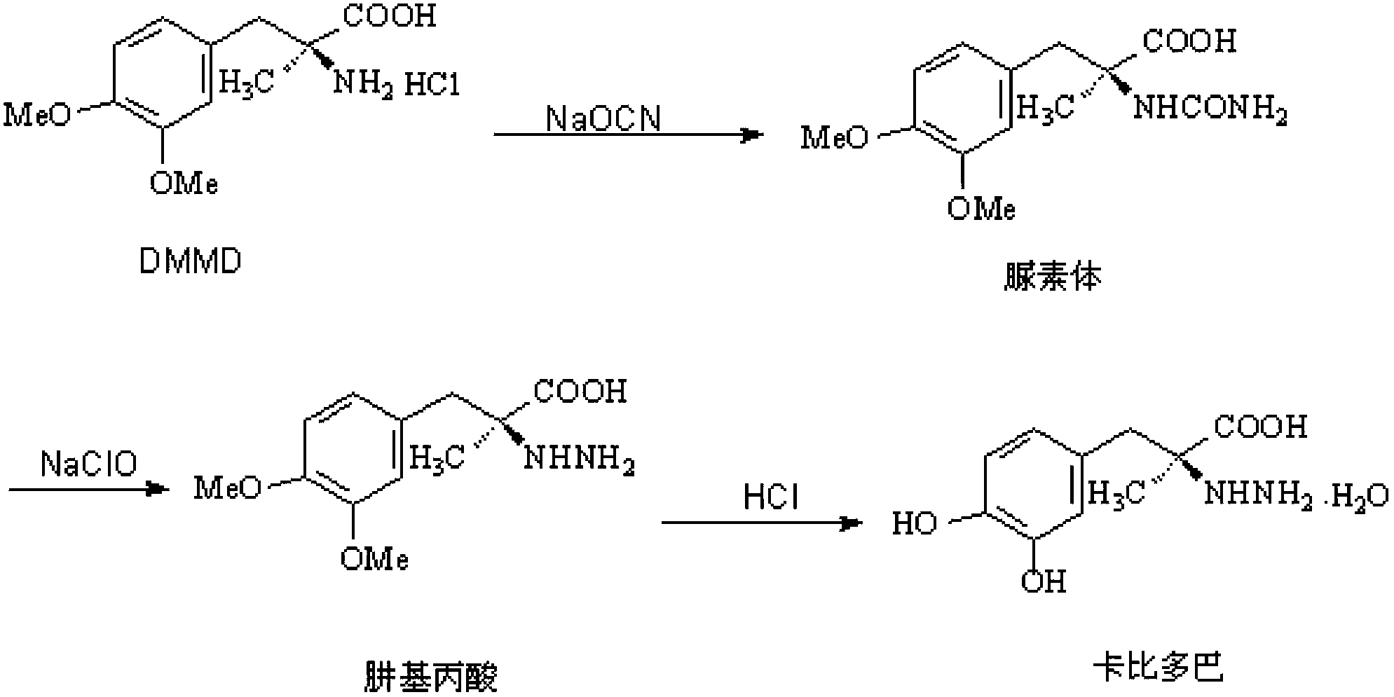 Method for synthesizing carbidopa