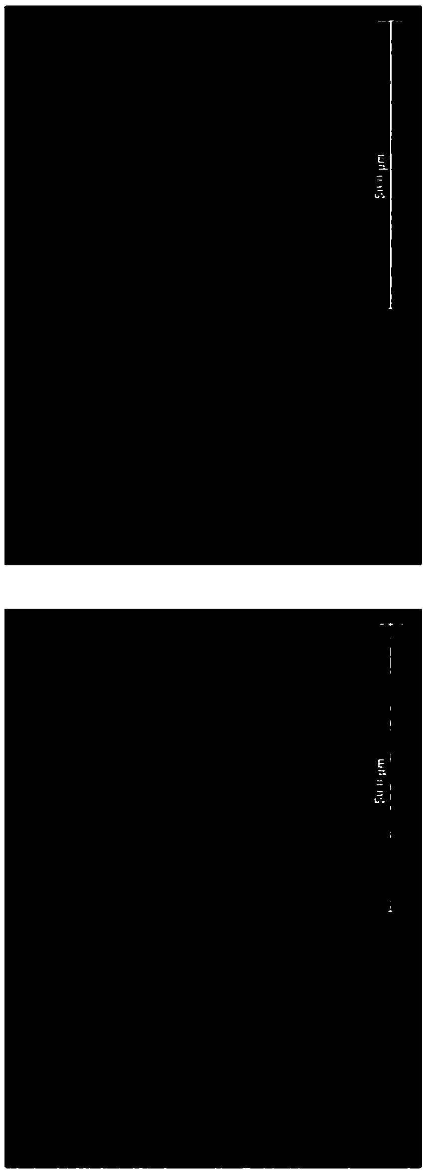 Method for rapidly determining phase content of double-phase stainless steel by using metallographic dyeing and software