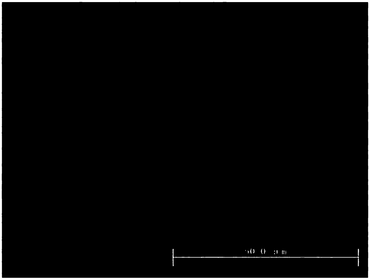 Method for rapidly determining phase content of double-phase stainless steel by using metallographic dyeing and software