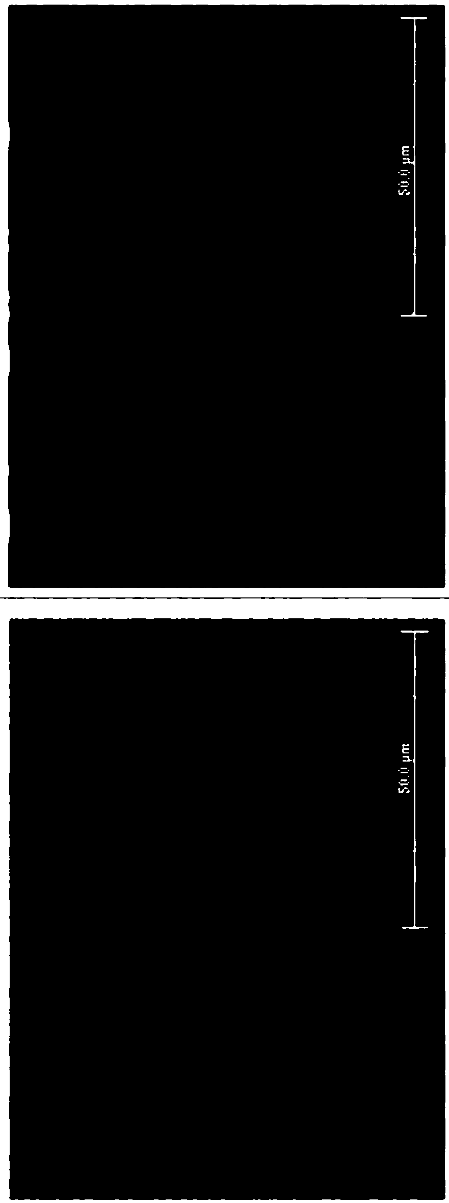 Method for rapidly determining phase content of double-phase stainless steel by using metallographic dyeing and software