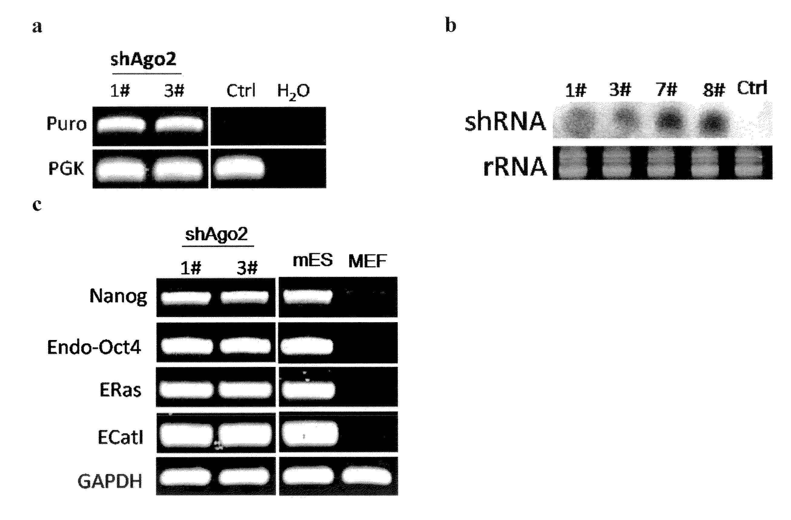 Method for generation and regulation of ips cells and compositions thereof
