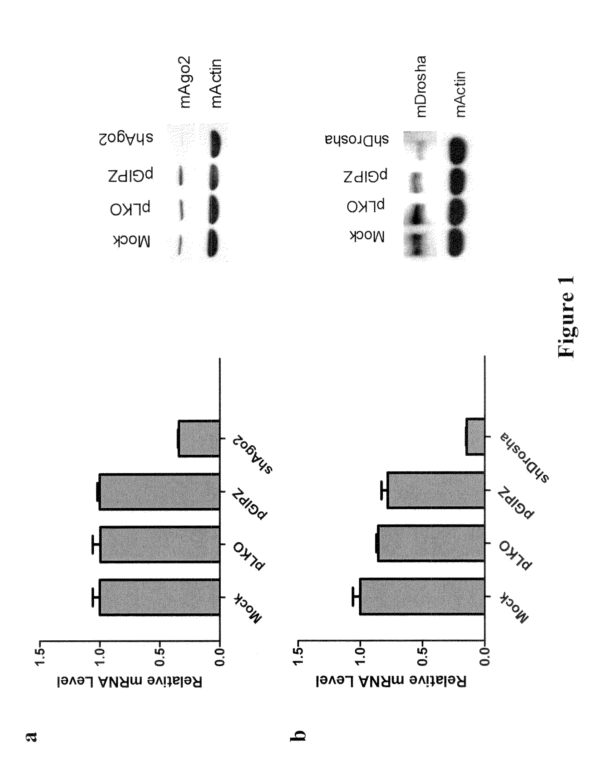 Method for generation and regulation of ips cells and compositions thereof
