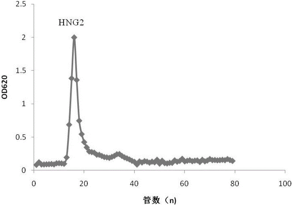 Anti-oxidation polysaccharide in boletus subsplendidus as well as preparation method and application thereof