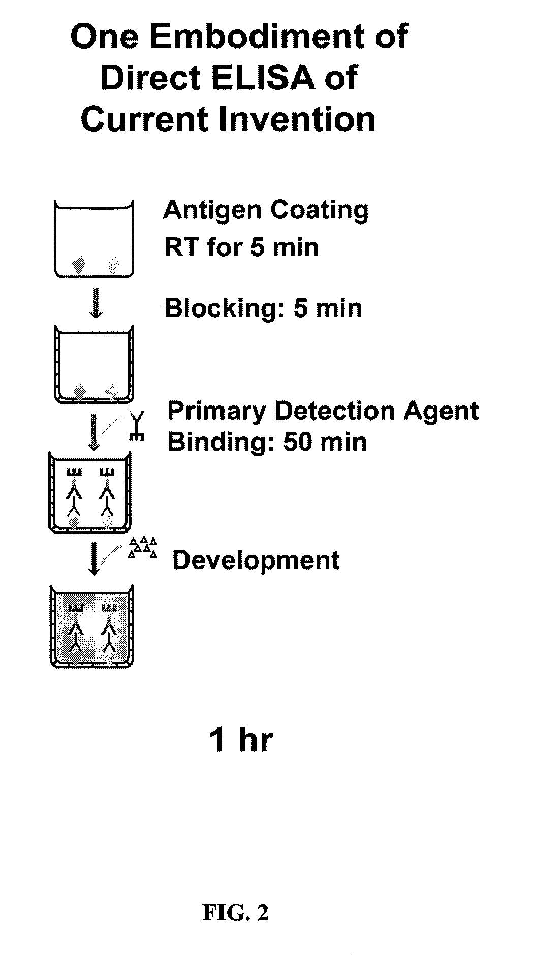 Rapid elisa processes and related compositions