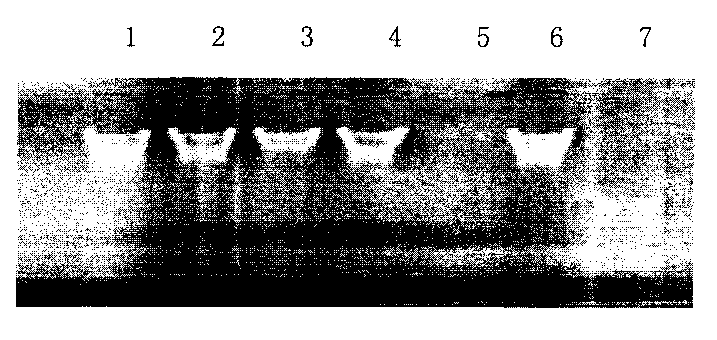 Method for extracting DNA from formalin-fixed tissue