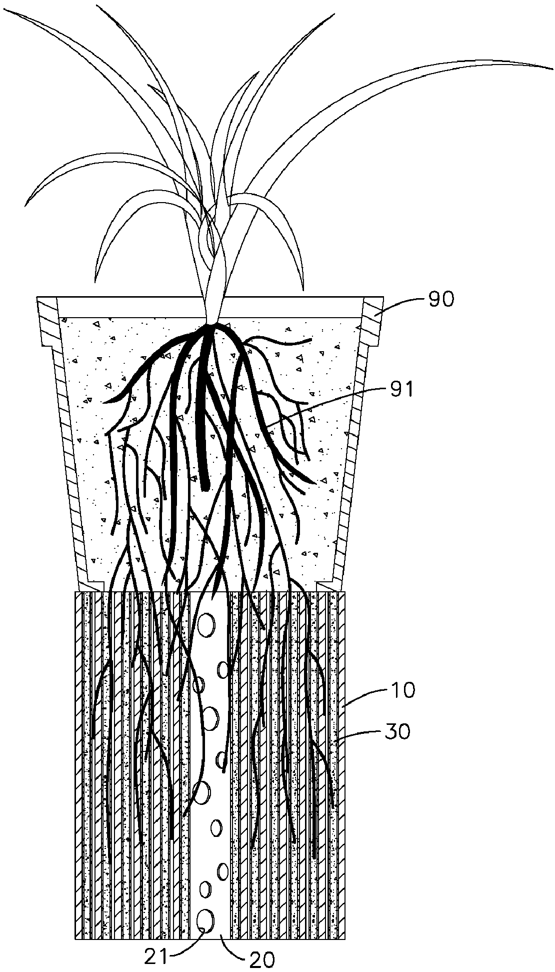 Plant root hair collection device