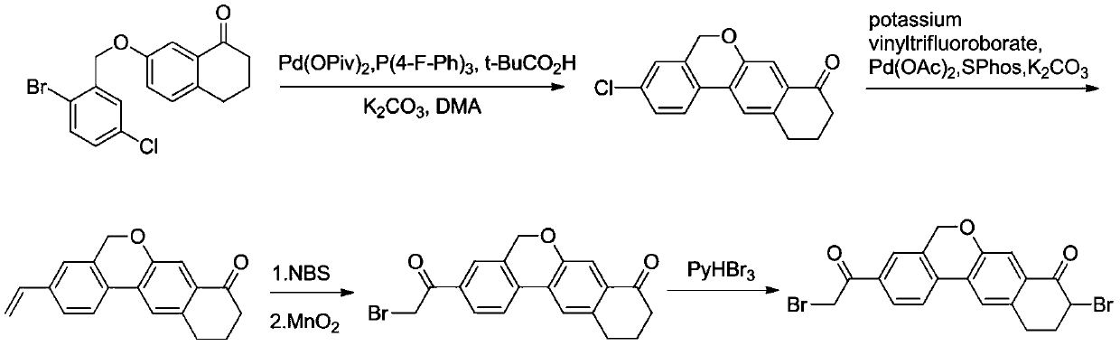 A kind of preparation method of 10,11-dihydro-5h-benzo[d]naphtho[2,3-b]pyrone derivative