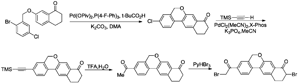 A kind of preparation method of 10,11-dihydro-5h-benzo[d]naphtho[2,3-b]pyrone derivative