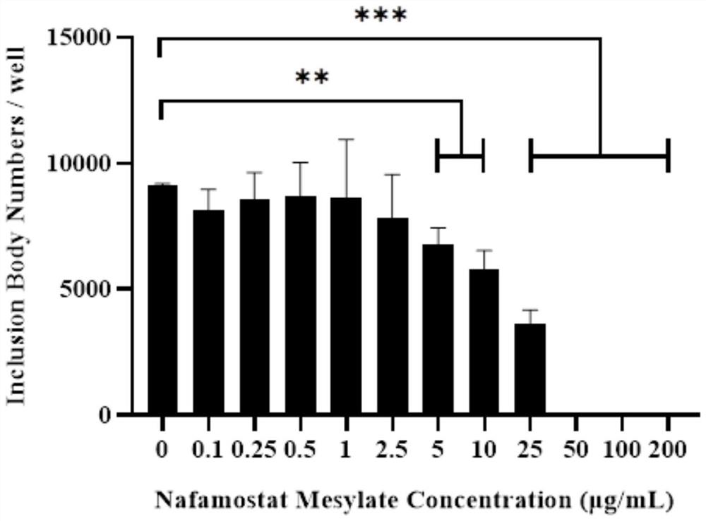 Application method of nafamostat mesylate to treatment of chlamydia infection of genital tract