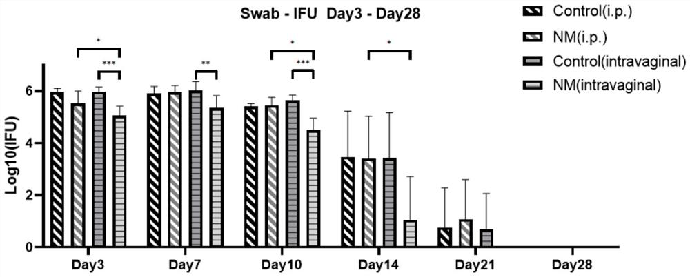 Application method of nafamostat mesylate to treatment of chlamydia infection of genital tract