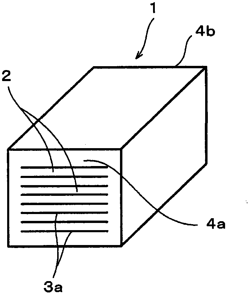 Apparatus for manufacturing chip-type ceramic electronic component and method for manufacturing chip-type ceramic electronic component