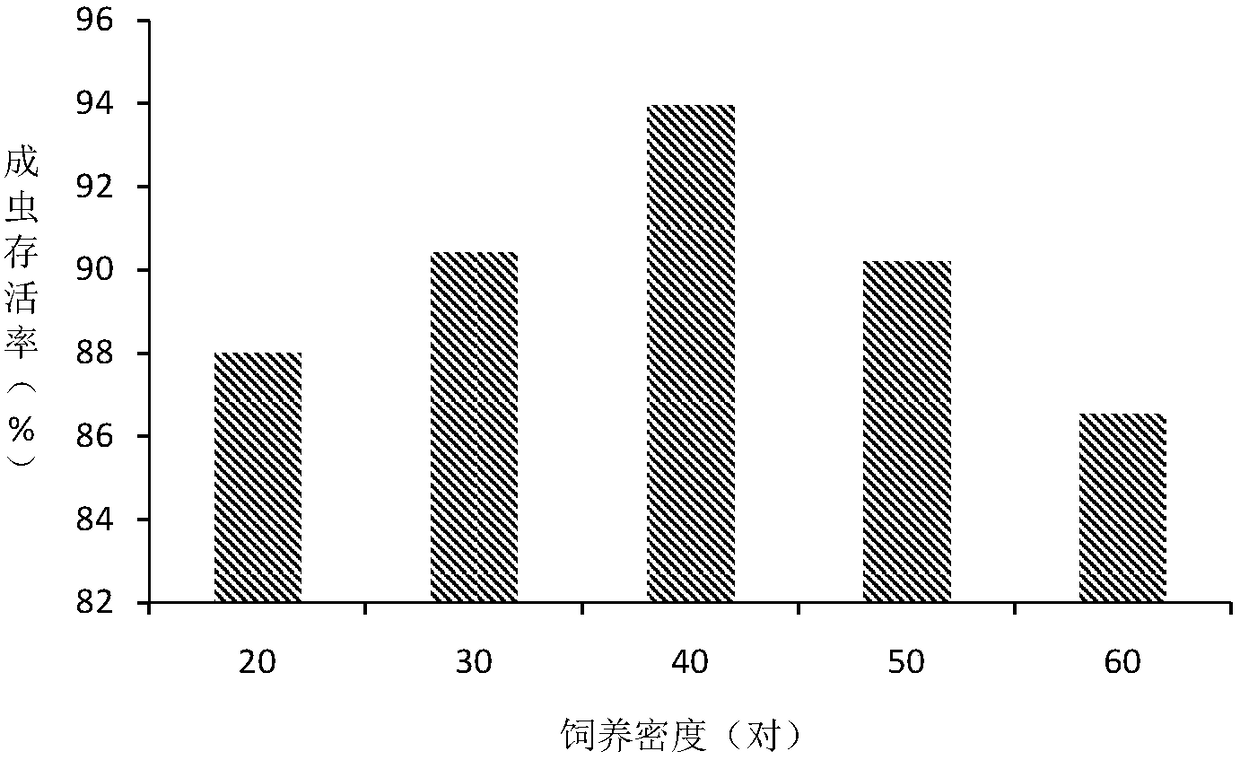 The Artificial Propagation Method of Dahma Wax Armor